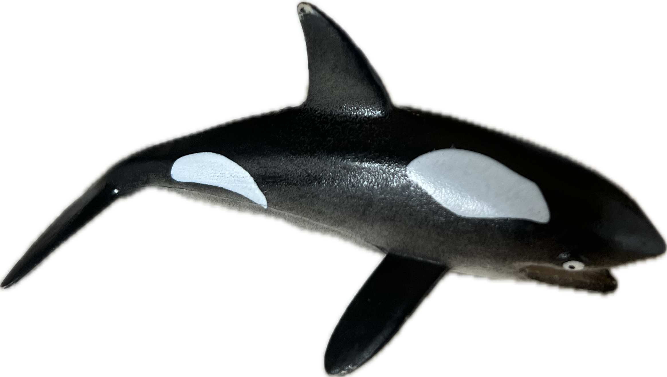 Orca
